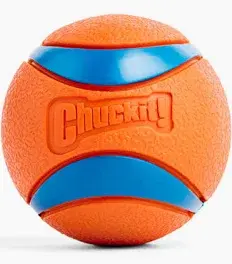 Orange and blue Chuckit dog fetch ball