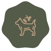 Dog grooming icon with scissors and comb